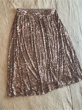 Pleated Sequin A-Line Skirt in Silver
